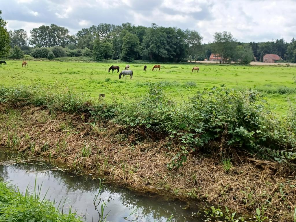 Tipps für das Münsterland